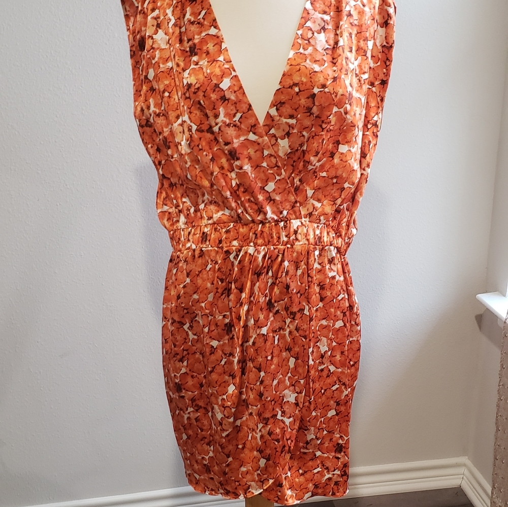 NWT Cynthia Steffe 100% Silk Dress